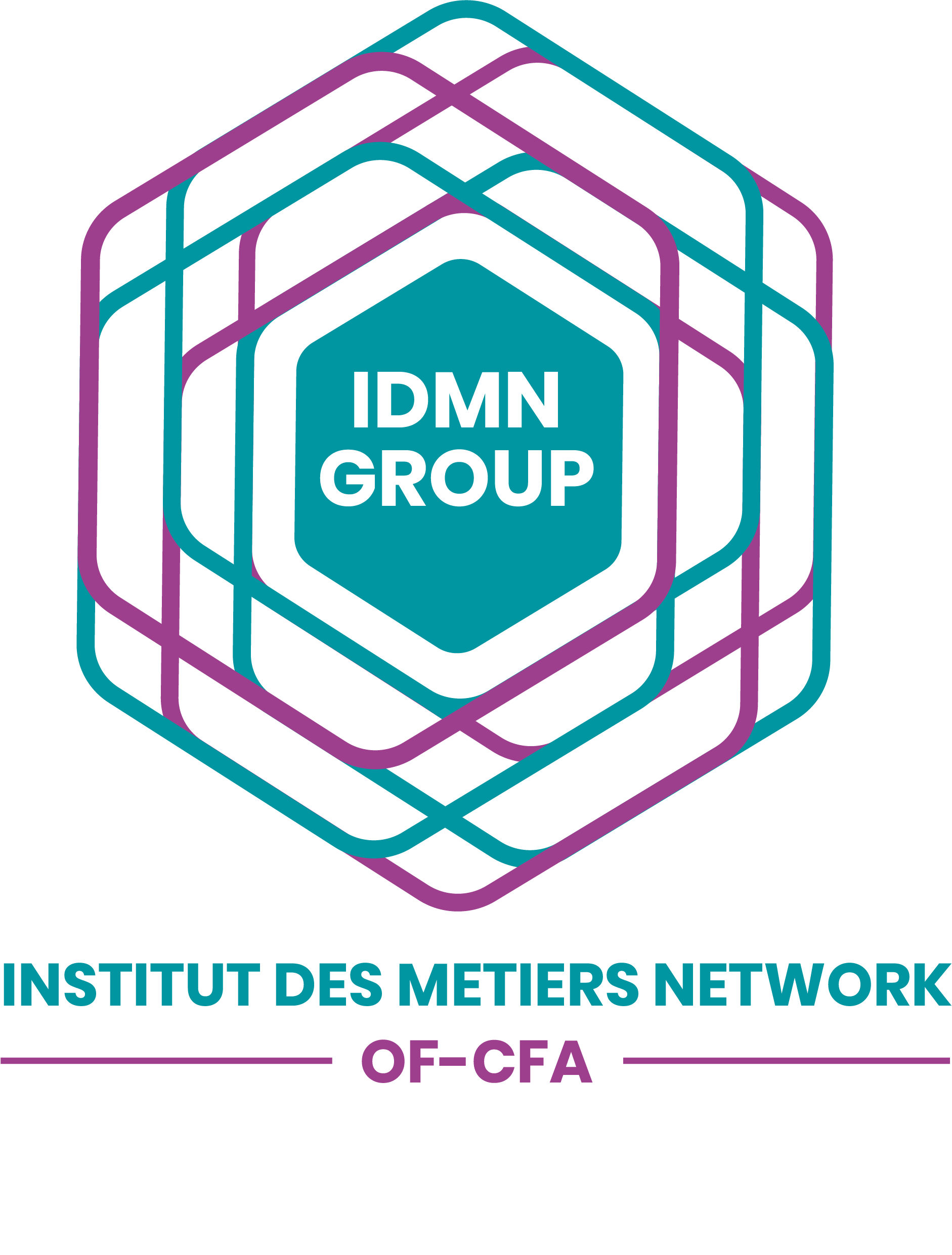 IDMN Vaulx en Velin